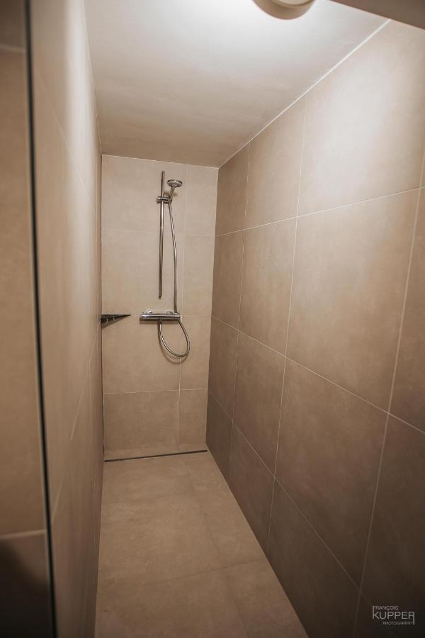 Le Vieux Sanglier - 41 Pers - Malmedy Villa Ngoại thất bức ảnh